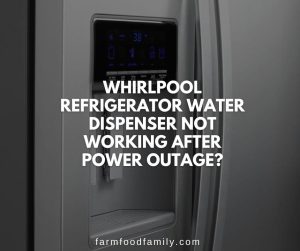 Whirlpool Refrigerator Water Dispenser Not Working: How to Fix It