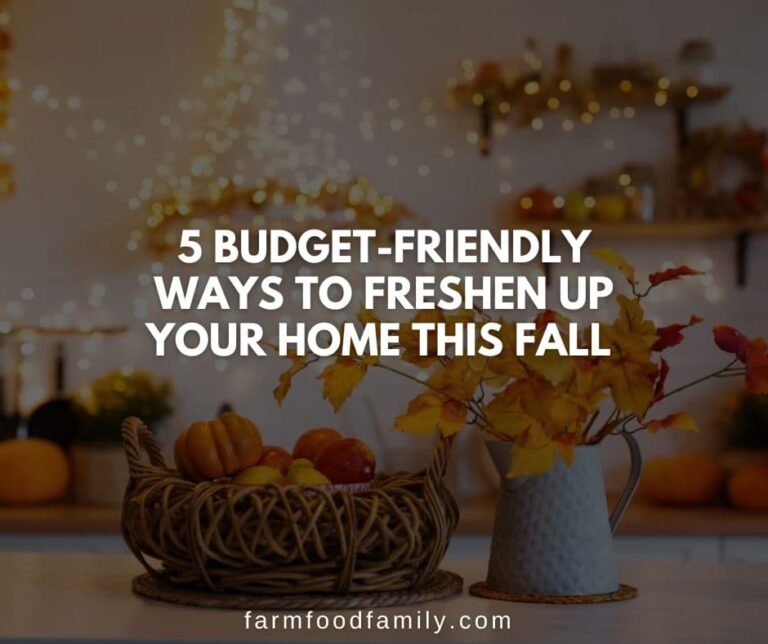 5 Budget-Friendly Ways to Freshen up Your Home This Fall