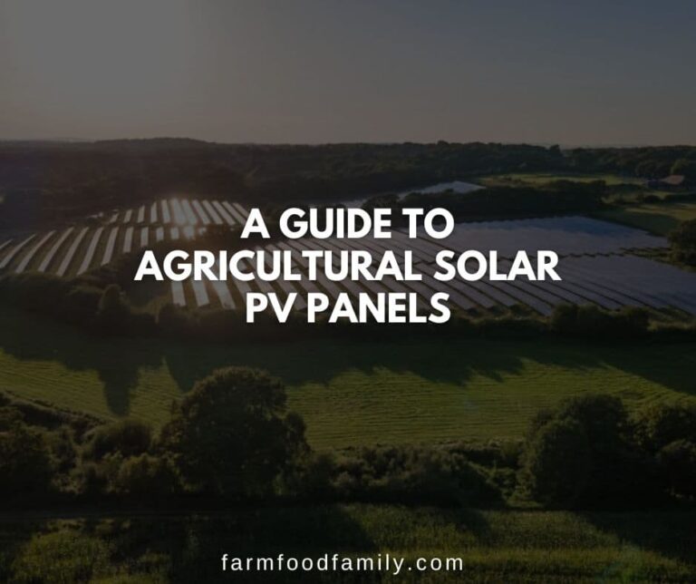 A Guide to Agricultural Solar PV Panels
