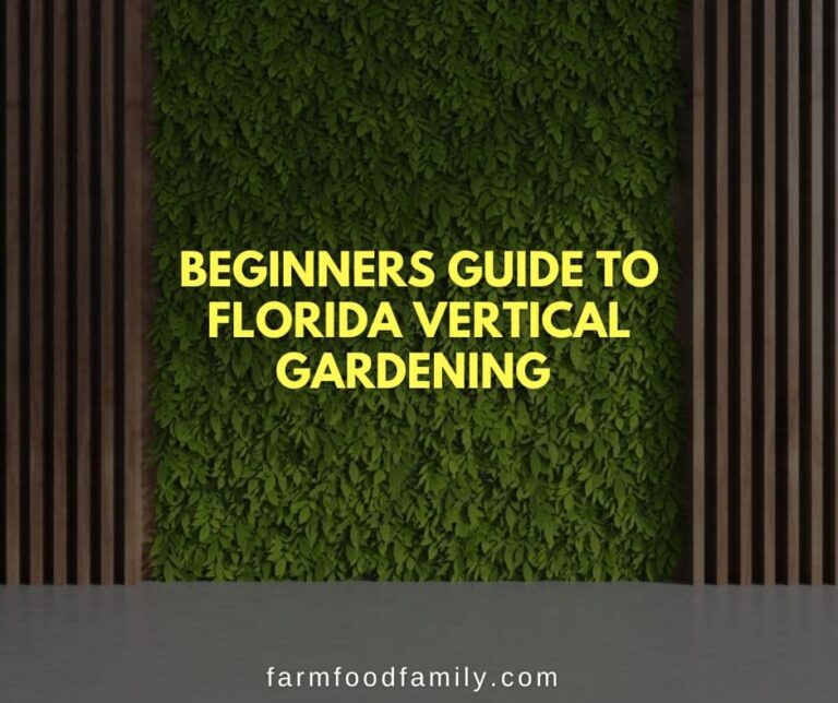 Beginners Guide to Florida Vertical Gardening
