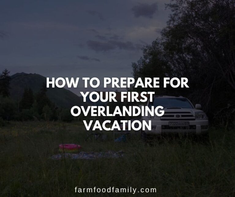 How to Prepare for Your First Overlanding Vacation