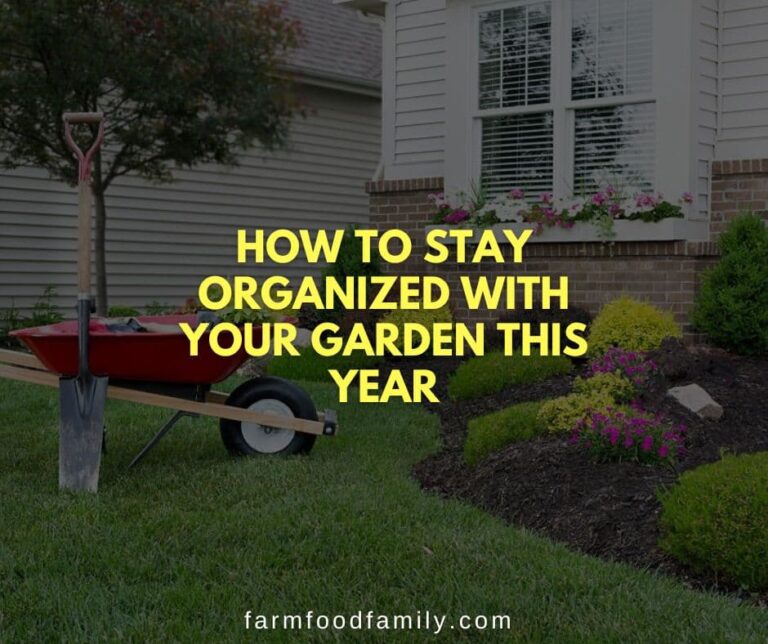 How to Stay Organized With Your Garden This Year