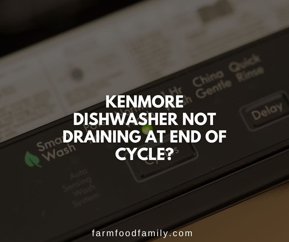 kenmore dishwasher not drain at end of cycle