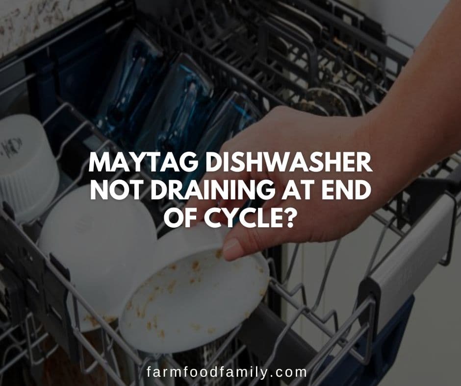 maytag dishwasher not draining at end of cycle
