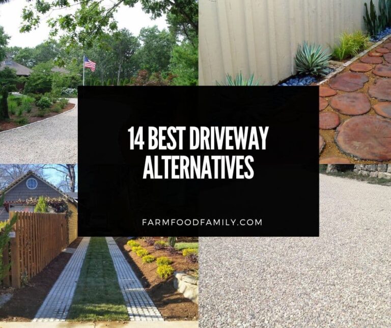 14 Best Driveway Alternatives That Will Upgrade Your Curb Appeal