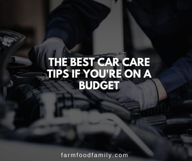 The Best Car Care Tips If You’re On a Budget