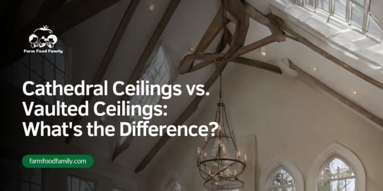 Cathedral Ceilings vs. Vaulted Ceilings: What’s the Difference?