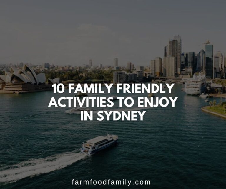 Spending A Family Day Out In Sydney? Here’s What To Do