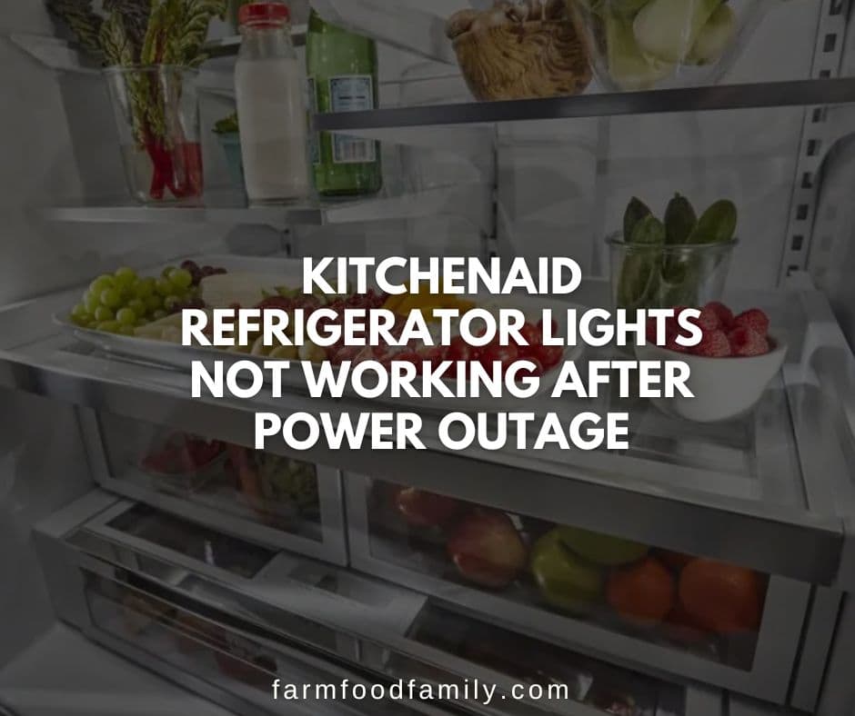 kitchenaid refrigerator lights not working after power outage