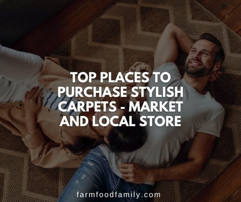 Top Places To Purchase Stylish Carpets – Market And Local Store