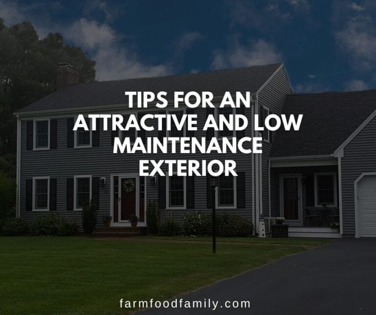 Tips For An Attractive And Low Maintenance Exterior