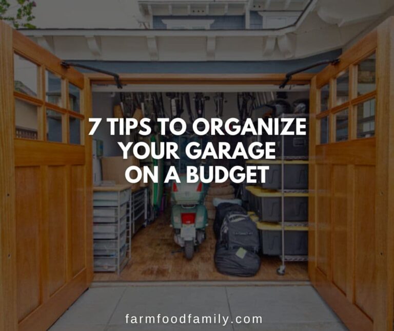 7 Tips to Organize Your Garage On A Budget
