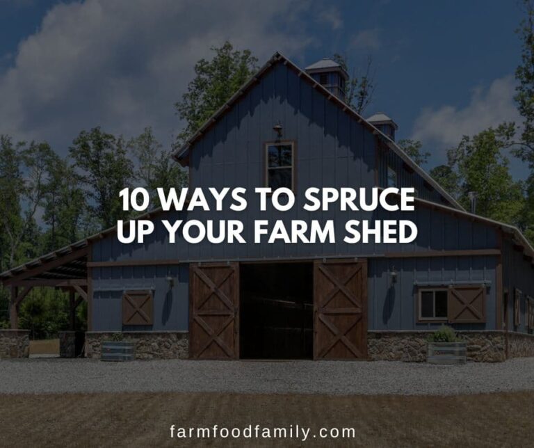 10 Ways to Spruce Up Your Farm Shed