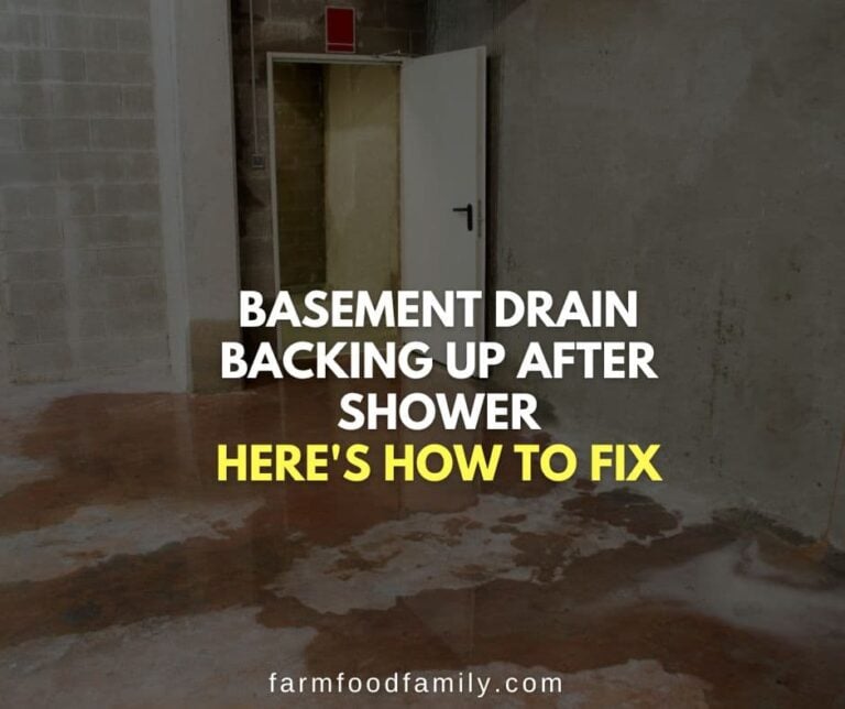 Basement Drain Backing Up After Shower: Here’s How To Fix