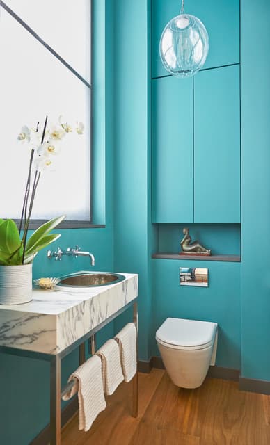 bathroom with accent wall paint1