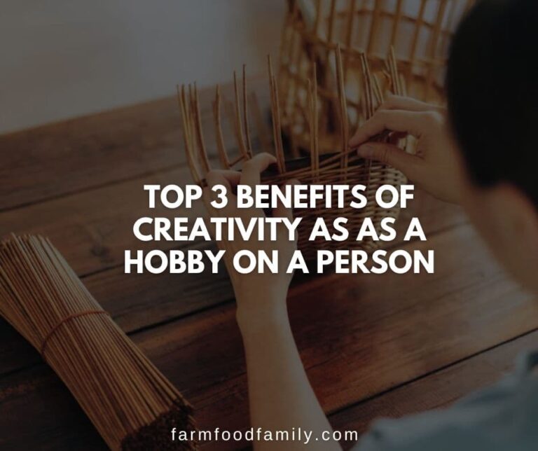 Top 3 Benefits Of Creativity As As A Hobby On A Person