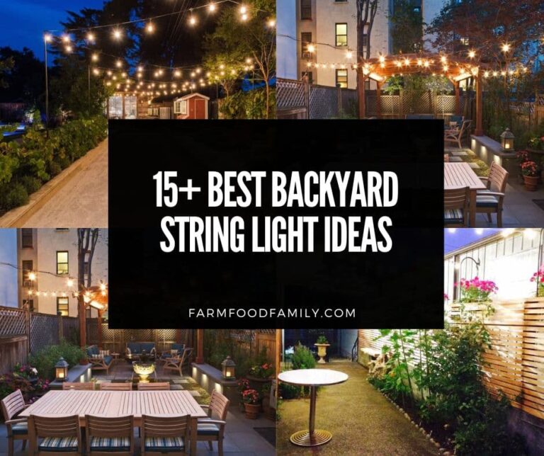 15 Best Backyard String Light Ideas and Designs (With Pictures)