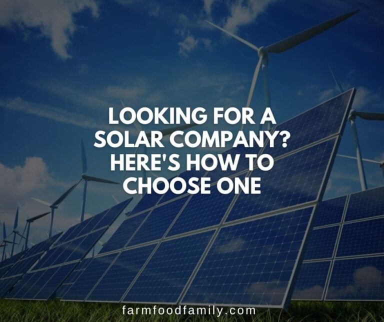 Looking for a Solar Company? Here’s How to Choose One