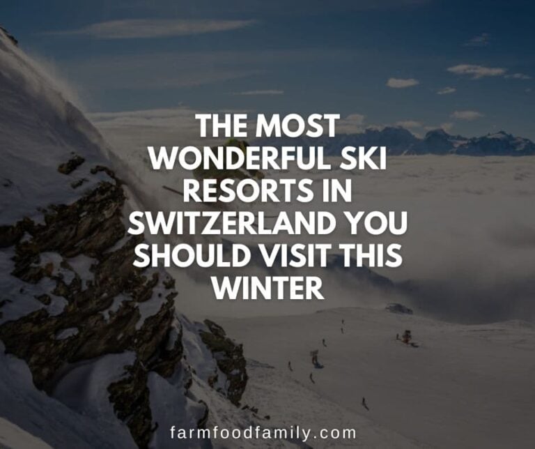 The Most Wonderful Ski Resorts in Switzerland you Should Visit This Winter