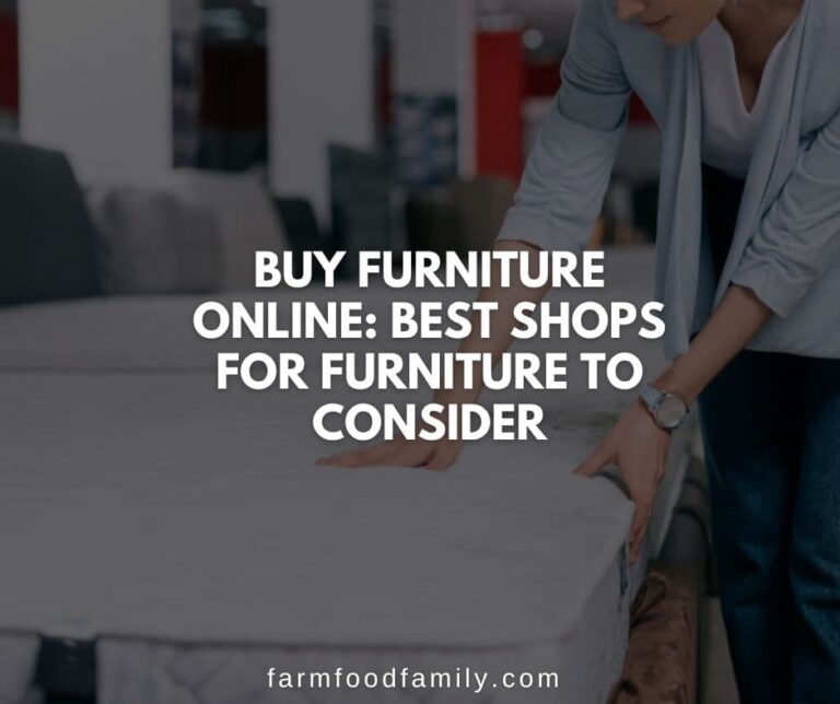 Buy Furniture Online: 6 Best Shops for furniture to Consider