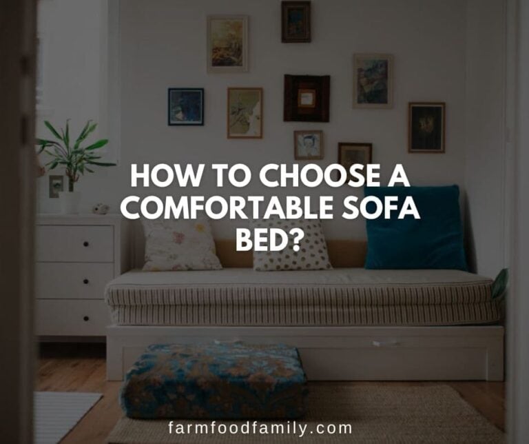 How to Choose a Comfortable Sofa Bed? Learn Our Tips!