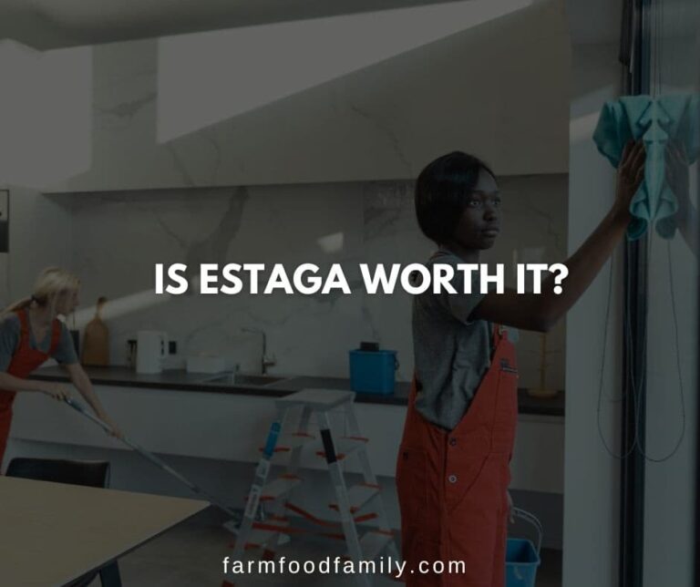 Is Estaga Worth It?