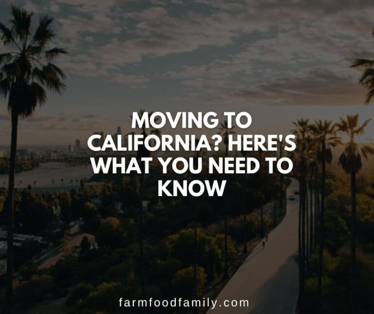 Moving to California? Here’s What You Need to Know