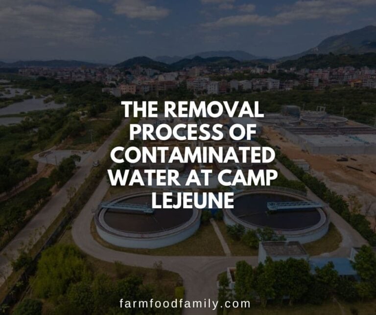 Fresh Start: The Removal Process Of Contaminated Water At Camp Lejeune