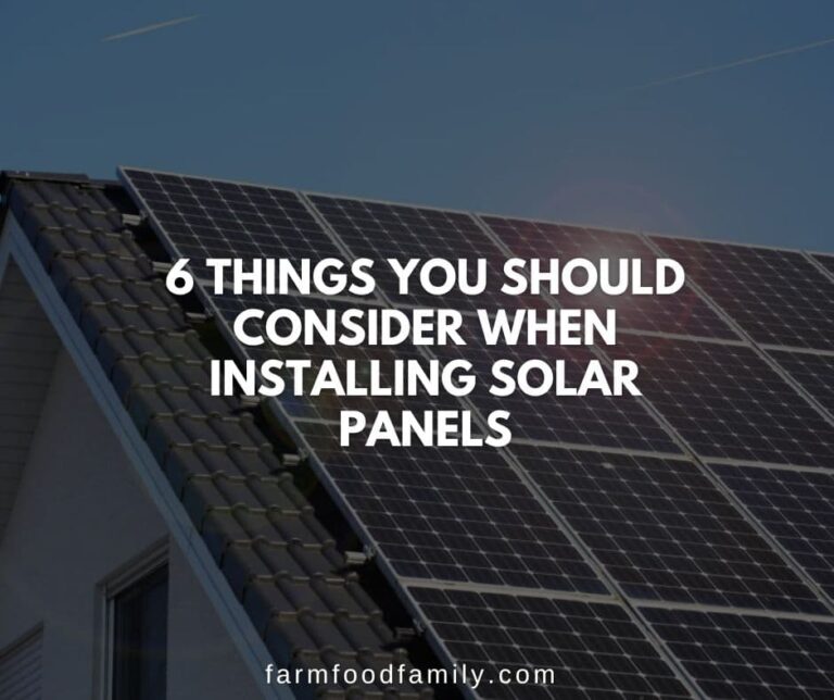 6 Things You Should Consider When Installing Solar Panels