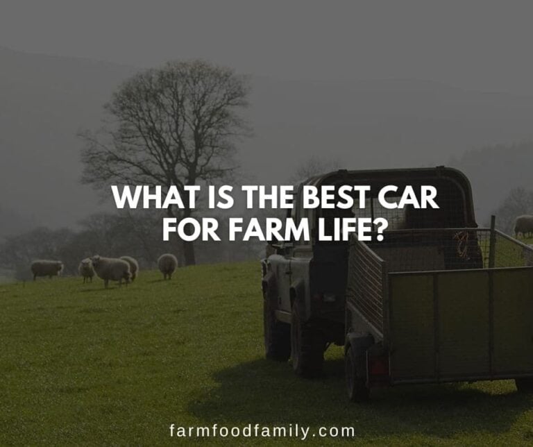 What is the Best Car for Farm Life?