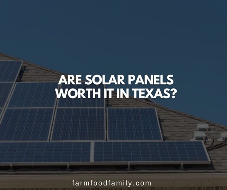 Are Solar Panels Worth It In Texas? (Pros and Cons)
