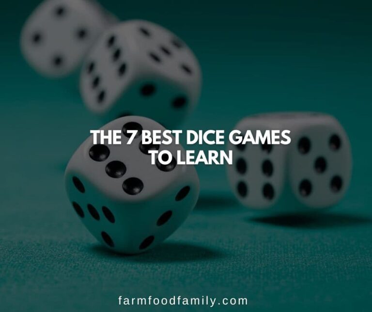 The 7 Best Dice Games to Learn in 2023