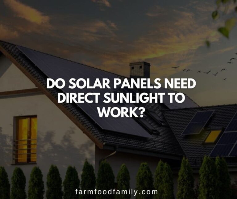 Do Solar Panels Need Direct Sunlight to Work?