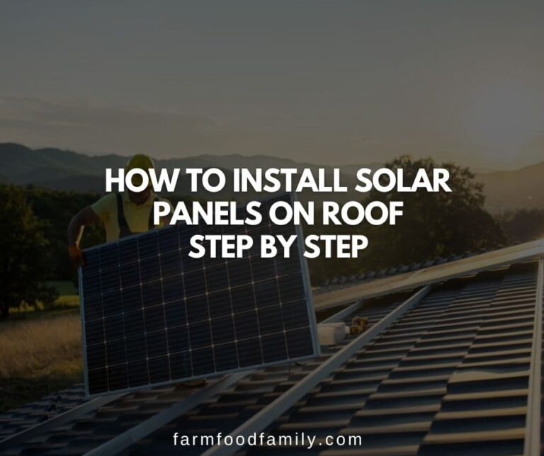 How to Install Solar Panels on Roof: Step by Step