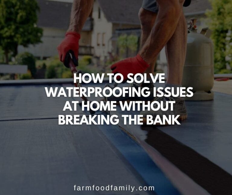 How to Solve Waterproofing Issues at Home Without Breaking the Bank