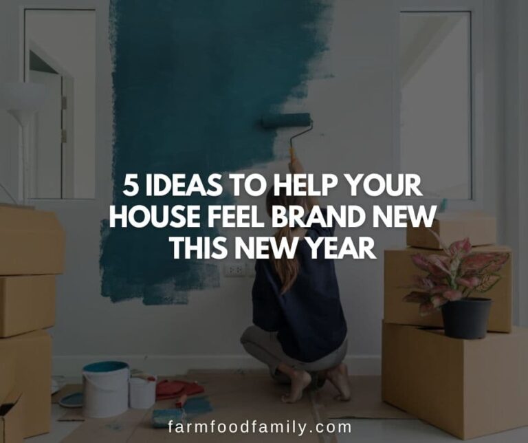 5 Ideas to Help Your House Feel Brand New this New Year
