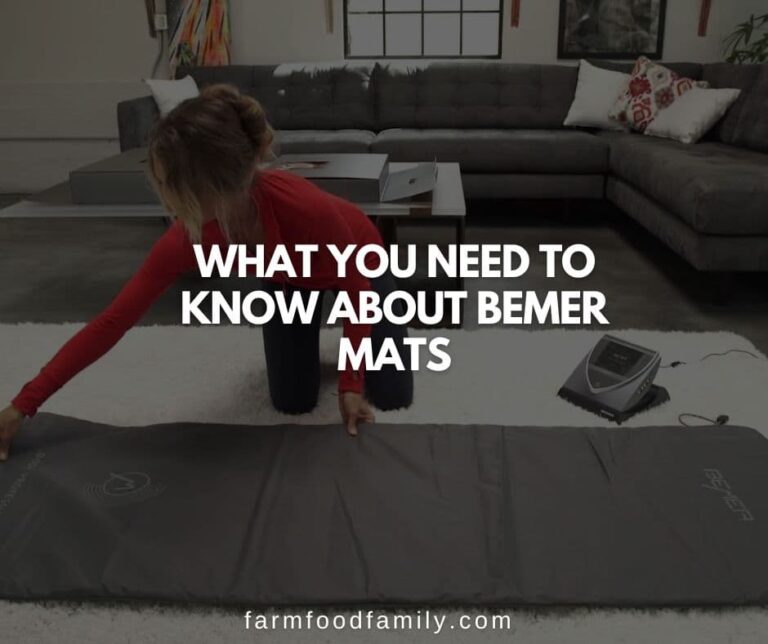 What You Need to Know About Bemer Mats