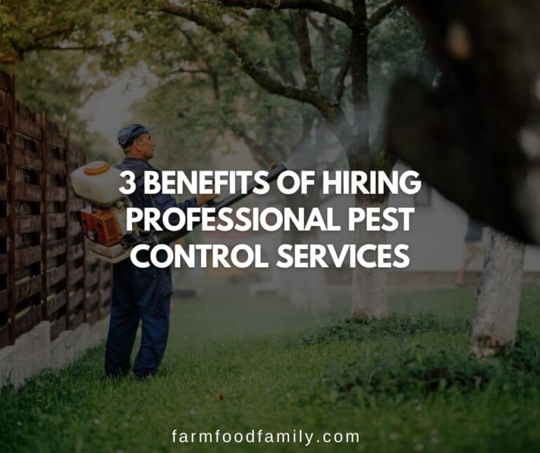 3 Benefits of Hiring Professional Pest Control Services