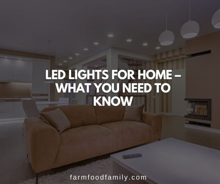 LED Lights for Home – What You Need To Know