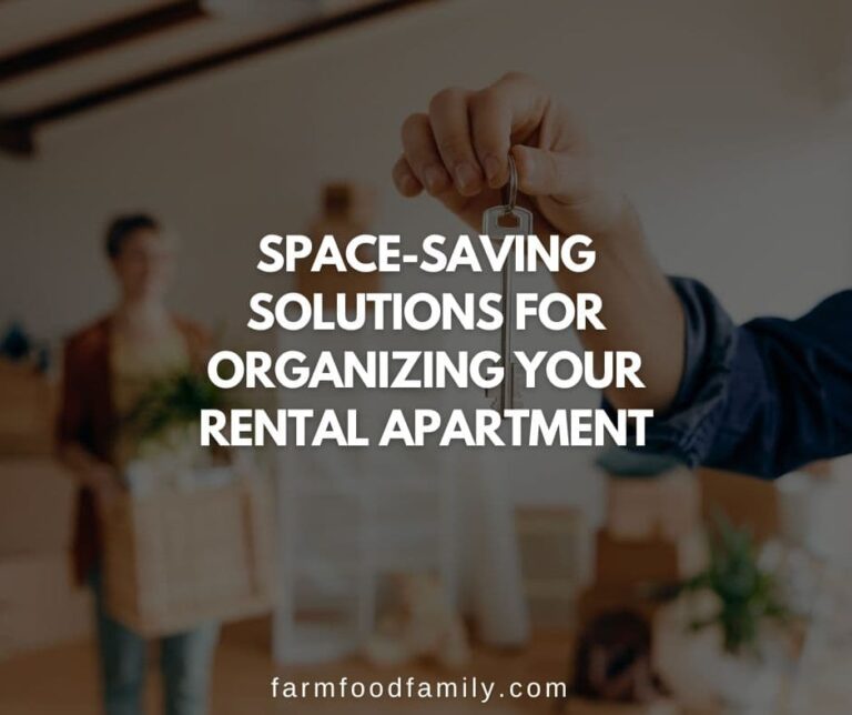 Space-Saving Solutions for Organizing Your Rental Apartment: Easy Ways To Maximize Living Space