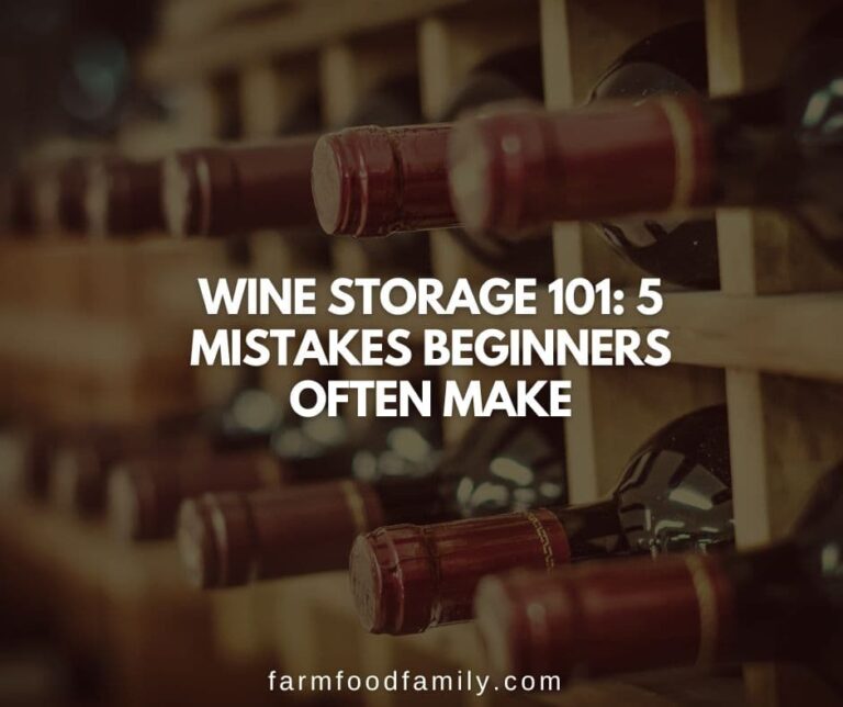 Wine Storage 101: 5 Mistakes Beginners Often Make