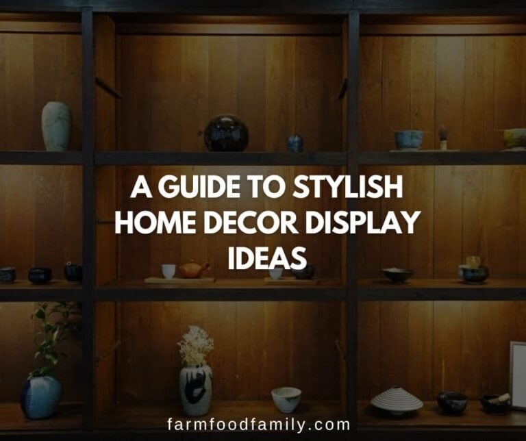 A Guide to Stylish Home Decor Display Ideas