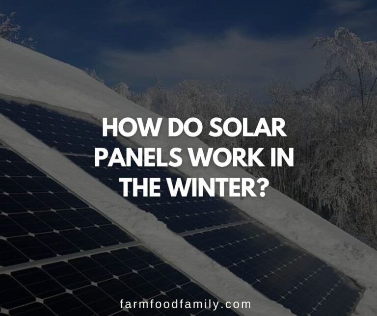 How Do Solar Panels Work In The Winter?