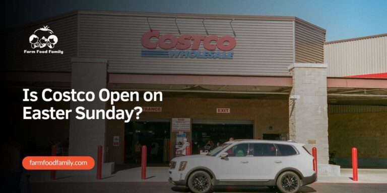 Is Costco Open for Easter Sunday? Costco Easter Hours 2026