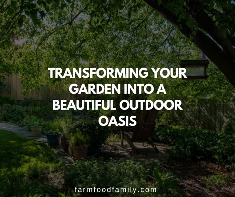 Transforming Your Garden Into a Beautiful Outdoor Oasis