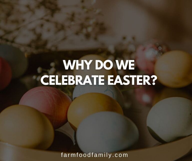 Why Do We Celebrate Easter With Egss and Bunny?