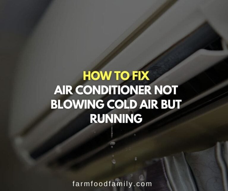 Guide to Fixing Your Air Conditioner That’s Not Blowing Cold Air