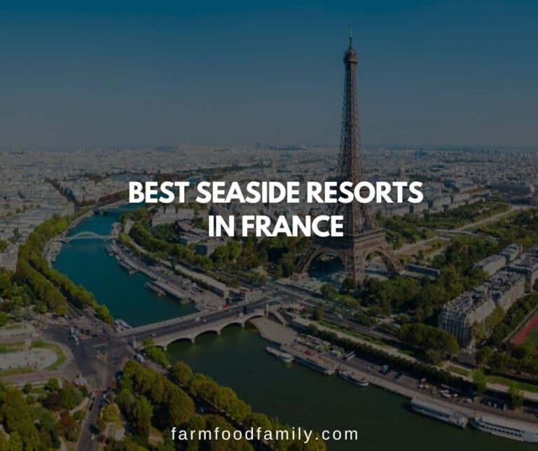The 5 Best Seaside Resorts in France