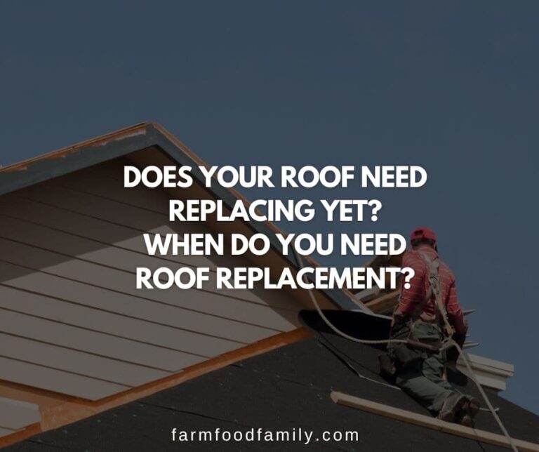 Does your roof need replacing yet? → When do you need roof replacement?