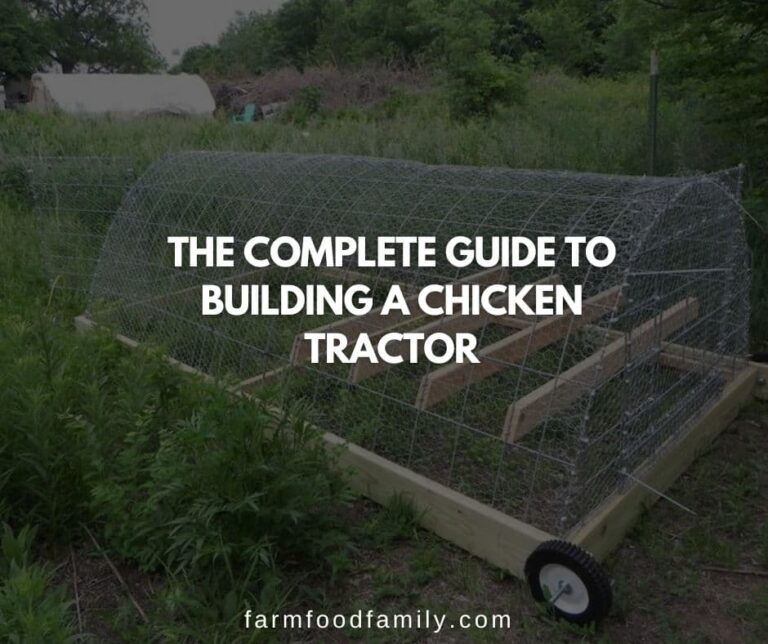 The Complete Guide to Building a Chicken Tractor